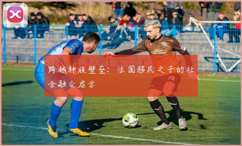 跨越种族壁垒：法国移民之子的社会融合启示