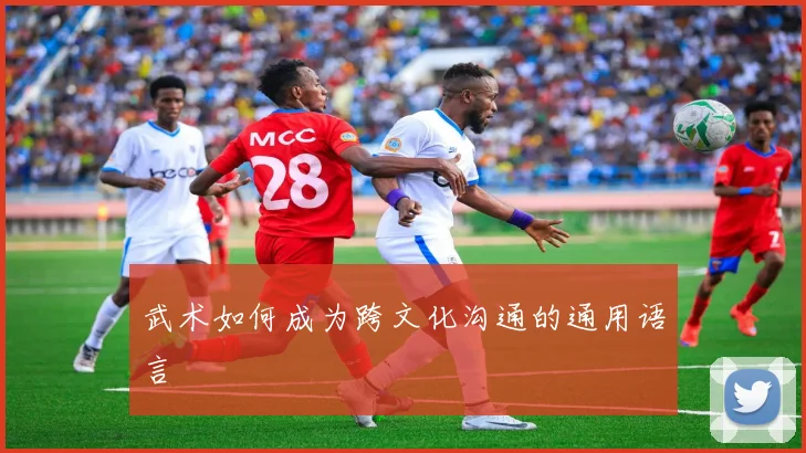 武术如何成为跨文化沟通的通用语言