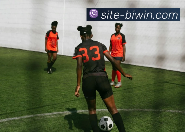 必赢官网APP 封面图