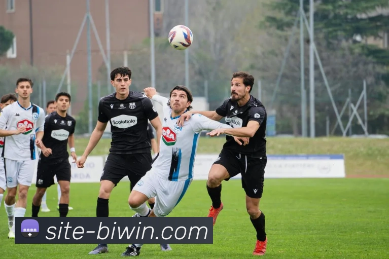 必赢官网APP 封面图